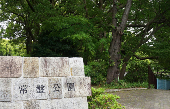 スクリーンショット (34)