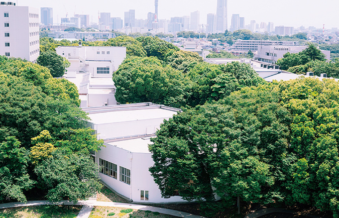 スクリーンショット (35)